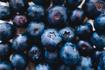 simple food ingredients, close-up of fresh blueberries in box