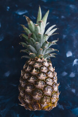 simple food ingredients, close-up of pineapple on dark blue background