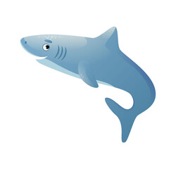 Fanny little shark on white background