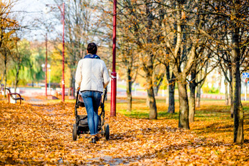 Obraz premium Mother wheeling a pram in the Park