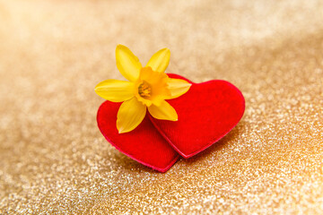 Fototapeta premium Heart symbol and yellow narcissus on a gold background 