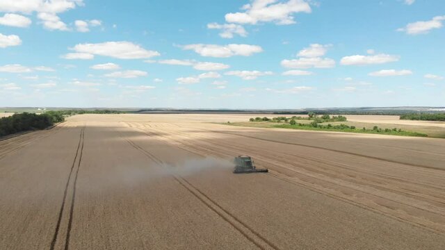 Top view of big green combine harvester collect wheat grains on the field. Agricultural machinery gathering ripe grains on the golden farmland. Drone view.