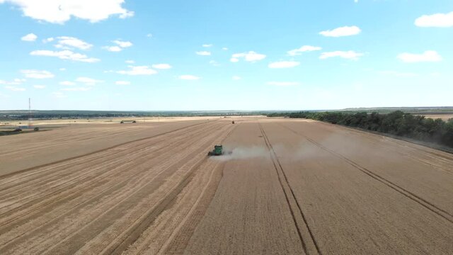 Top view of big green combine harvester collect wheat grains on the field. Agricultural machinery gathering ripe grains on the golden farmland. Drone view.