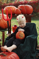 Fototapeta premium Caucasian child toodler with blue eyes in halloween costume with pumkins. With and devil atributs - devil horns and witch hat 