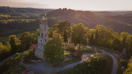 Naklejka premium Burg Löwenstein Ruine Schloss im Heilbronner land im Wald