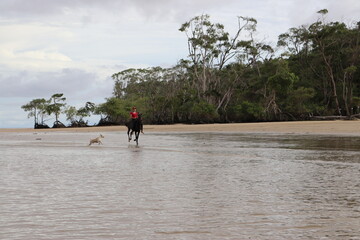 couple walking on beach