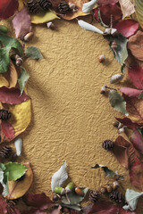 落葉のフレーム