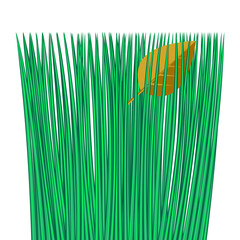 fallen tree foliage on green grass, on the lawn, isolate