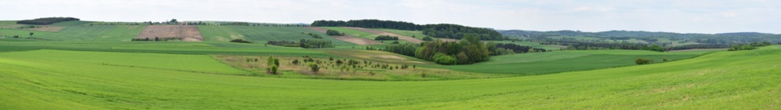 Jura krakowsko-częstochowska. Pola. Panorama.