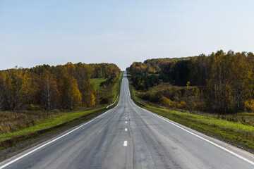 Fototapeta premium road in autumn