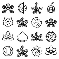 Chestnut icons set. Outline set of chestnut vector icons for web design isolated on white background