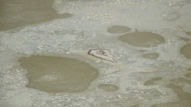 Mineral deposits float on top of the boiling water of a geothermal hot spring. Looks like "primordial soup."