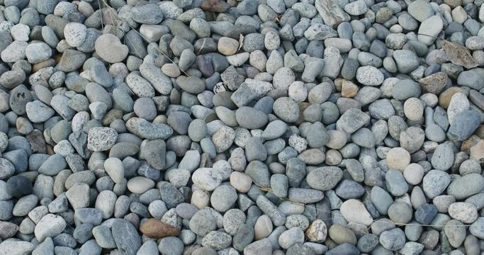 Hundreds of pebbles, rounded rocks.