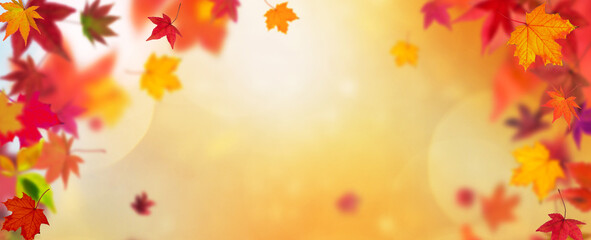 Fototapeta na wymiar Background or header, concept fall, autumn, seasons- colorfull orange, red, yellow autumn leafs falling down