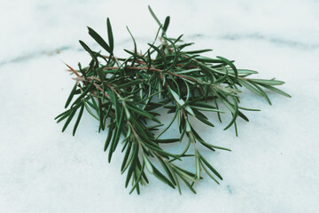 Heap of fresh rosemary, closeup image of isolated plant on surface.