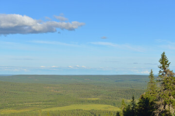 Fototapeta na wymiar Northern hills, endless forests and a blue sky with a cloud (focus on spruce). Northern Finland, Lapland