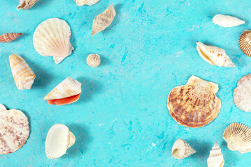 Ocean design template with copy space, sea shells, shot from the top on teal blue, a flat lay