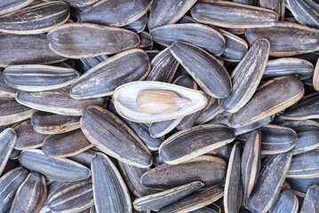 Sunflower seeds texture nature food background