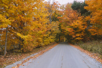 Autumn country road, Vermont Leaf peeping. Autumn in New England is known for its vibrant colors...