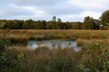Eversmeer (Ewiges Meer) in Ostfriesland