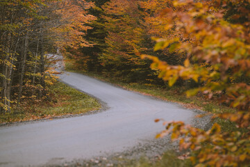 Autumn country road, Vermont