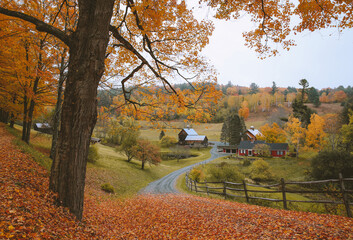 the most beautiful farm, Sleepy Hollow Farm, Vermont fall