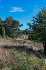 L&uuml;neburger Heide