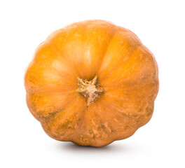 Orange round pumpkin