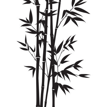 Decorative bamboo branches isolated on white background. © Kotkoa