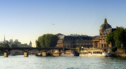 Naklejka premium institut des sciences