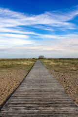 Let&acute;s got to the beach