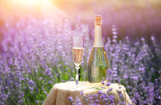Champagne is poured into glasses in a sunset lavender field.