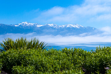 View from point Kean over beautiful Seaward Kaikoura Ranges Mountains in the morning mist with snow caps on the top with vivid blue sky, Marlborough Region, South Island, New Zealand