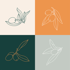 Fototapeta na wymiar Vector set illustration olive branch - simple linear style. Olives icons.