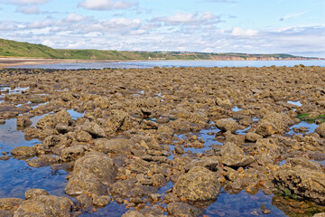 Rocky beach - Durham Heritage Coast