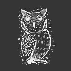 Owl hand drawn sketch. Funny cute bird isolated.