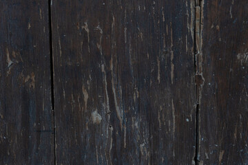 Fototapeta premium Texture of a wood. Photo of a door.
