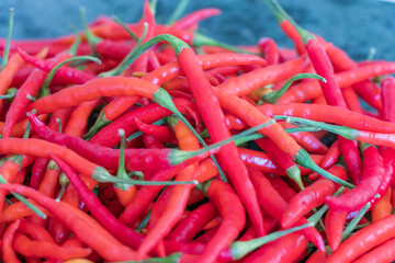 close up of red pepper in the garden from Thailand very spicy isolated background.