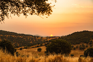 Paisaje de atardecer entre montañas con arboles y sol brillando al fondo