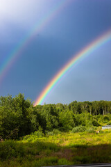 Rainbow over the summer mixed forest, cloudy sky and clear rainbow colors, forest road. Natural landscape. Rainbow colors after rain. Rain clouds.