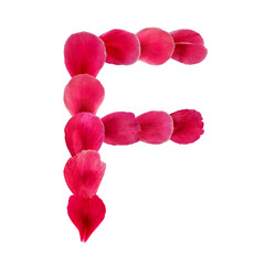 Single English letter F made from bright pink petals of a flower. Real floral natural font isolated on white background