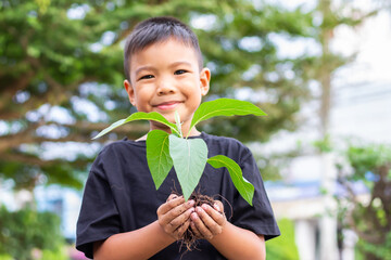 Happy Asian child boy hands holding a little green plant with soil. Growing tree. Spring season. Save environment. Earth day. World day.