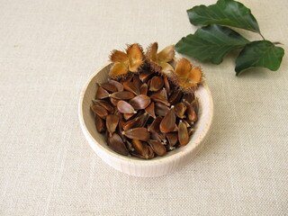 Beechnuts from the European beech in a wooden bowl