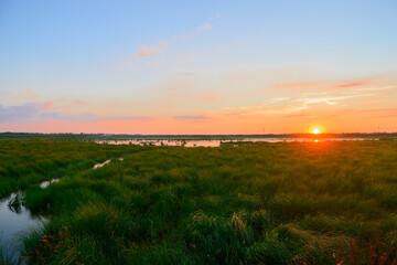 Summer evening landscape with a grassy lake
