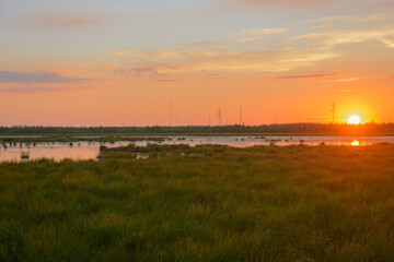 Summer evening landscape with a grassy lake