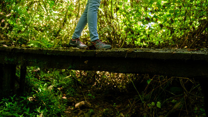 Girl walking on a wooden bridge in a rainforest