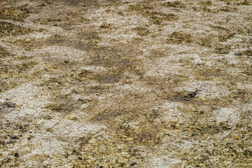Drying yellow clay. Soil cracked texture in landscape.