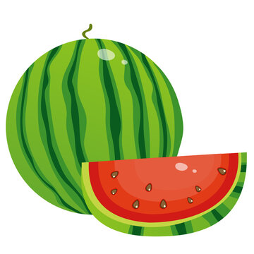 Color image of watermelon on white background. Berry and fruits. Vector illustration.