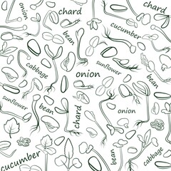 Texture. Microgreens.