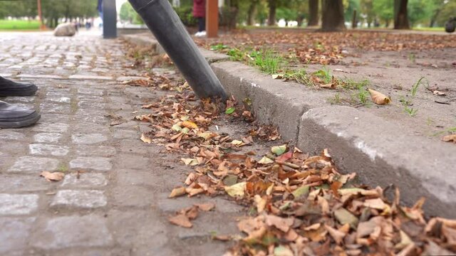 Unrecognizable man man take away dry autumn leaves using yard vacuum cleaner in park